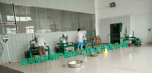 霜桑葉茶設(shè)備,小型桑葉加工茶機(jī)械 果蔬加工成套設(shè)備